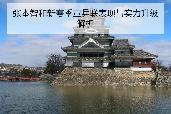 zhang-ben-zhi-he-xin-sai-ji-ya-ping-lian-biao-xian-yu-shi-li-sheng-ji-jie-xi-1-175.jpg